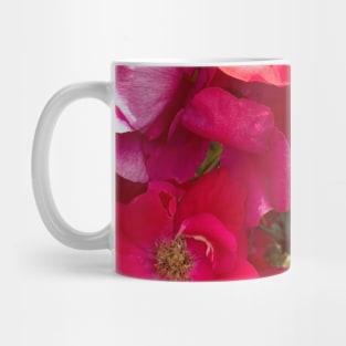 Wild Red Roses Mug